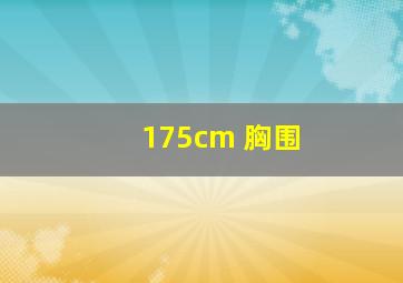 175cm 胸围